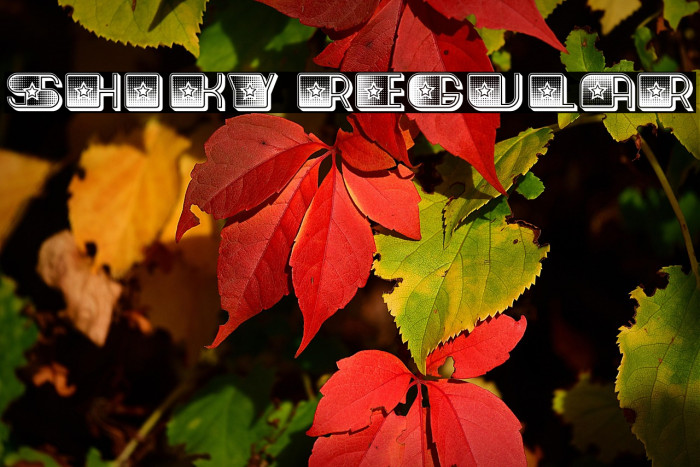 Shiky Regular Example 3