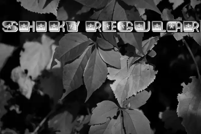 Shiky Regular Caratteri examples