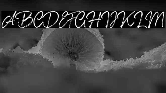 Shillentta Personal Use Only Font examples