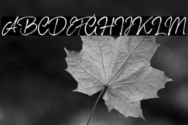 Shillentta Personal Use Only Font examples