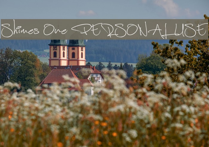 Shimes One PERSONAL USE Example 3