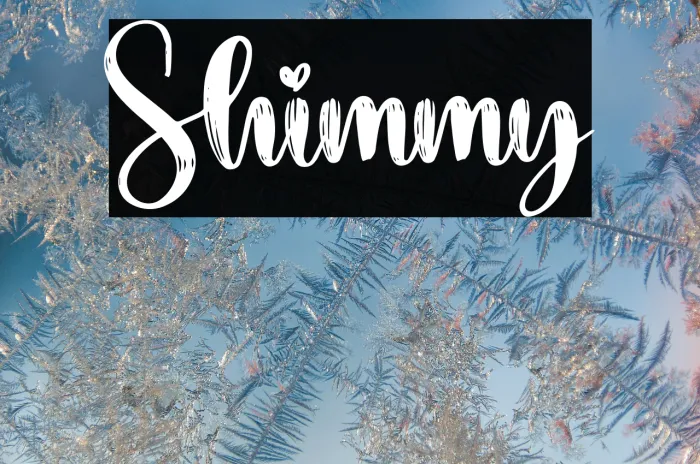 Shimmy Example 3