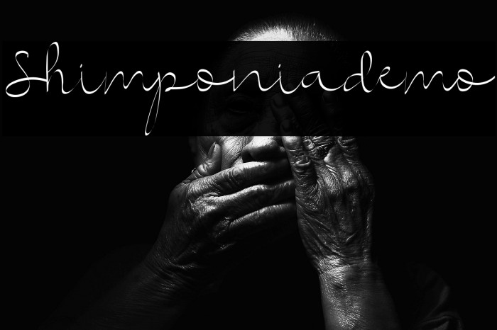 Shimponiademo Example 1