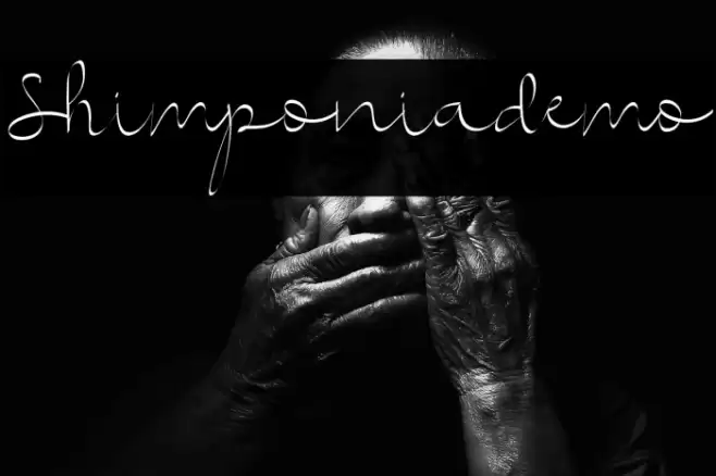 Shimponiademo Font examples