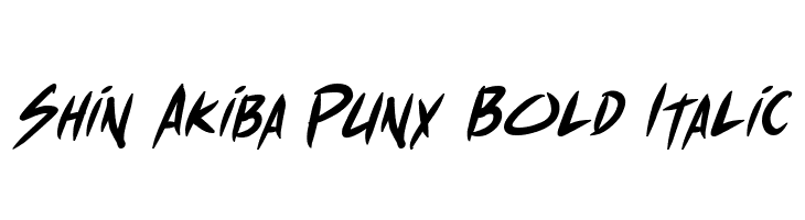Shin Akiba Punx Bold Italic Font