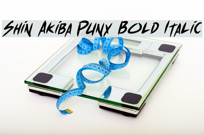 Shin Akiba Punx Bold Italic Font examples