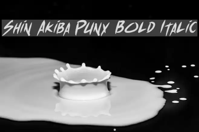 Shin Akiba Punx Bold Italic Font examples