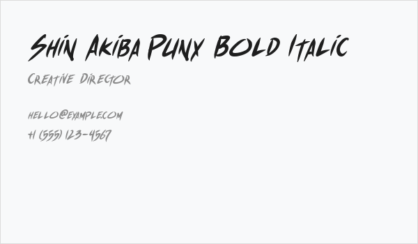 Shin Akiba Punx Bold Italic Business Card