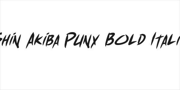 Shin Akiba Punx Bold Italic Logo