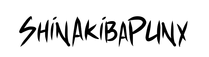 Shin Akiba Punx Polices