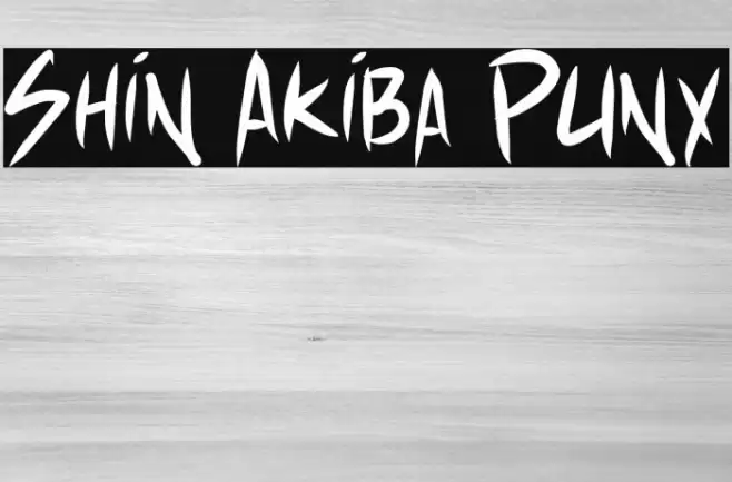 Shin Akiba Punx Font examples
