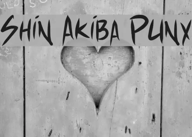 Shin Akiba Punx Font examples