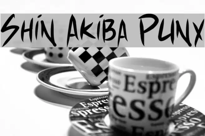 Shin Akiba Punx Font examples
