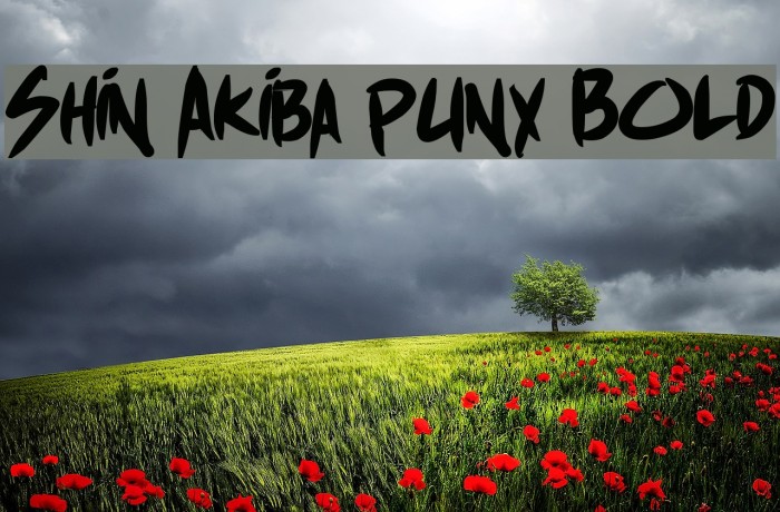 Shin Akiba punx Bold Font examples