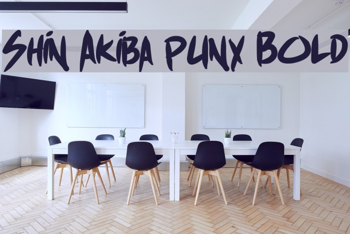Shin Akiba punx Bold Font examples