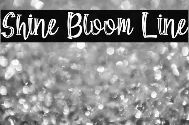 Shine Bloom Line Font examples