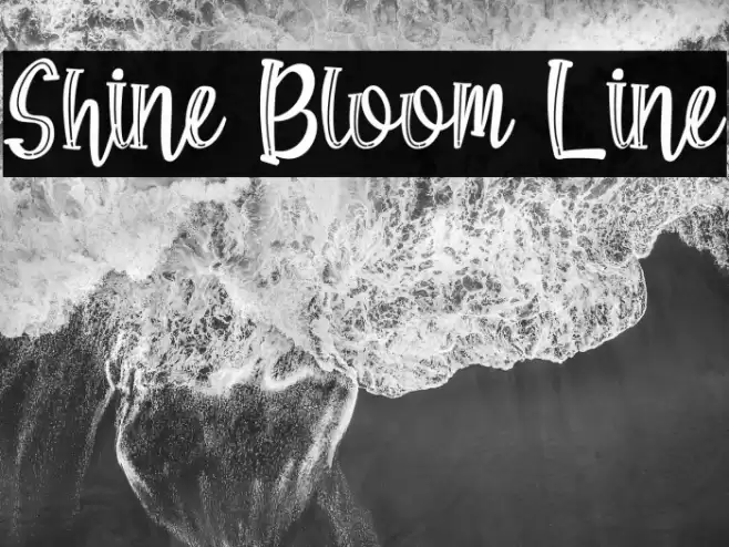 Shine Bloom Line Font examples