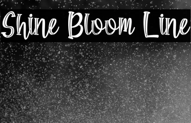Shine Bloom Line Font examples