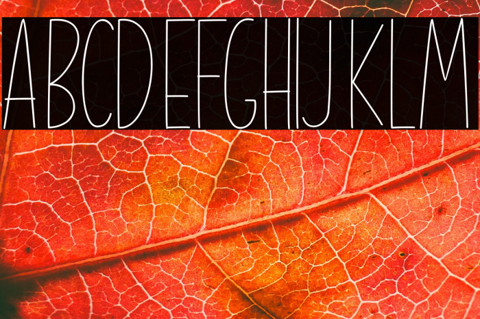 Shine Brighter Sans Example 1