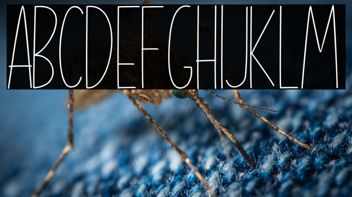 Shine Brighter Sans Example 3