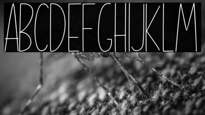 Shine Brighter Sans Font examples