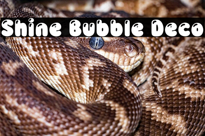 Shine Bubble Deco Example 2