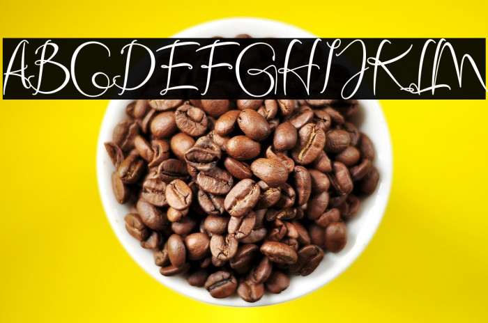 Shine Himawari Example 2