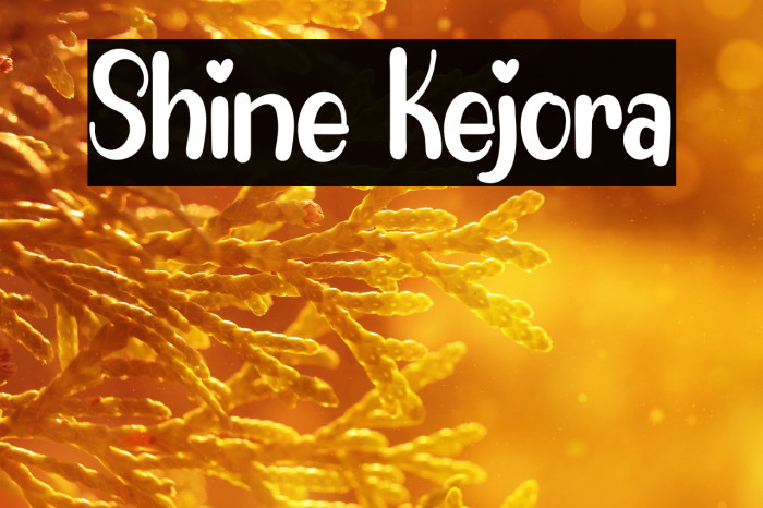 Shine Kejora Example 3