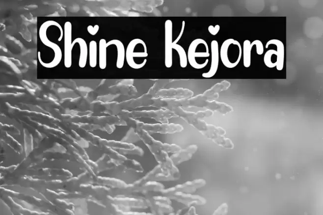 Shine Kejora Font examples