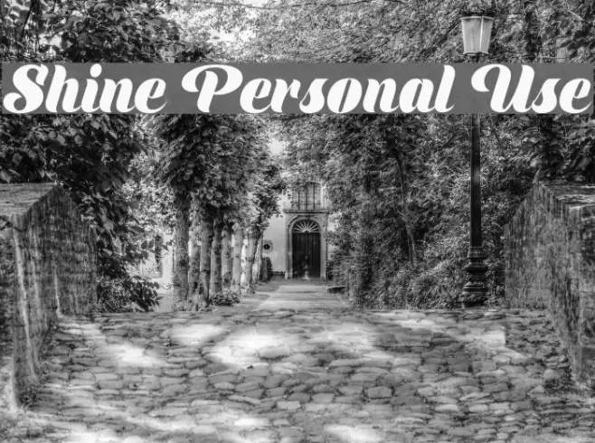Shine Personal Use Font examples