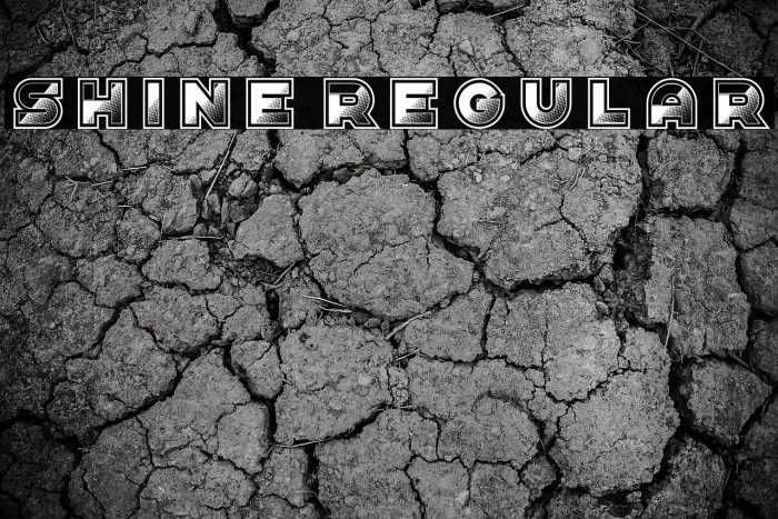 Shine Regular Example 2