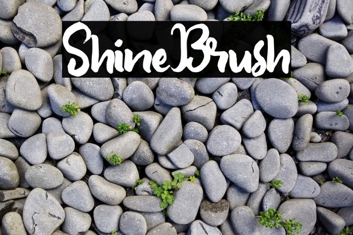 ShineBrush Font examples