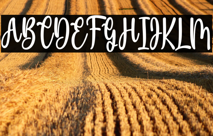 ShineGlitter Example 2