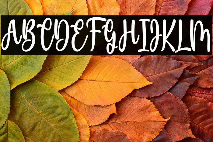 ShineGlitter Example 3