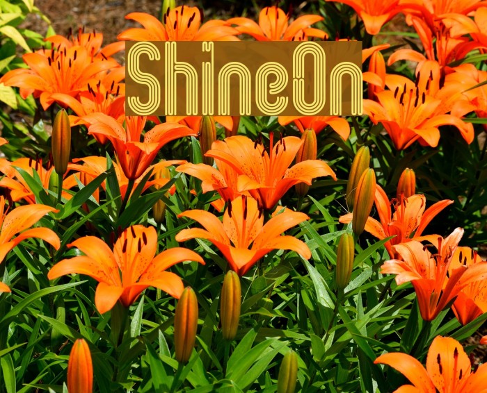 ShineOn Example 3