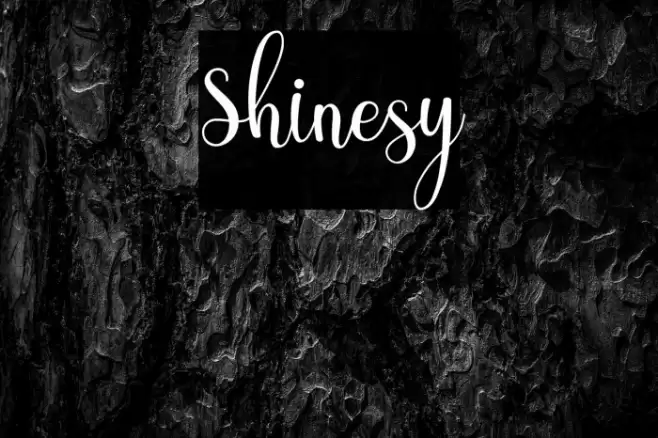 Shinesy Font examples