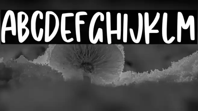 Shining Diamond Font examples