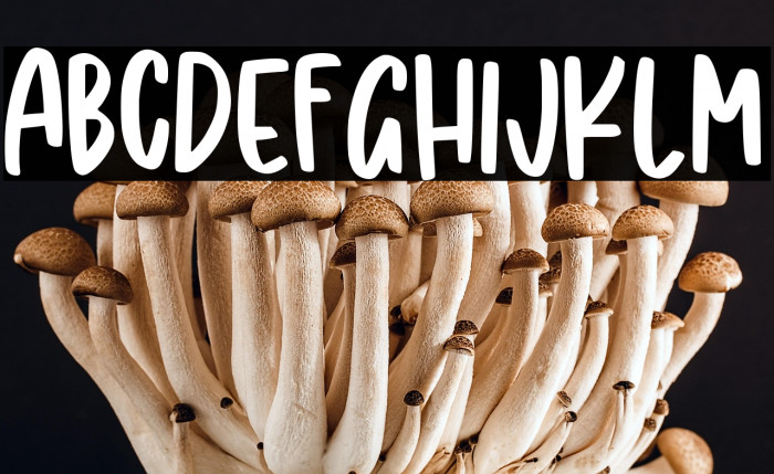 Shining Diamond Example 2