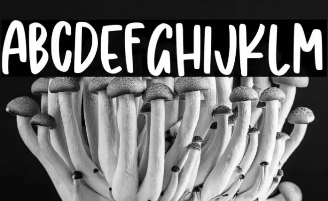 Shining Diamond Font examples