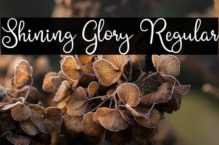 Shining Glory Regular Example 1