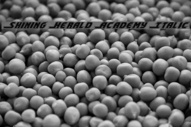 Shining Herald Academy Italic Шрифта examples