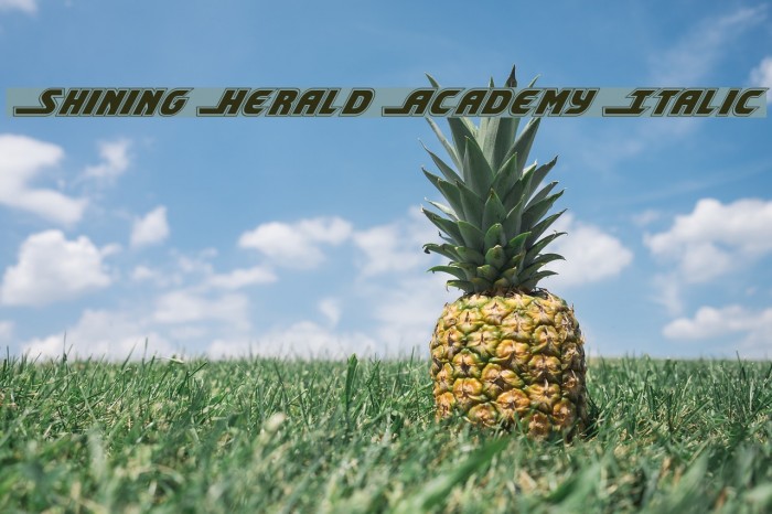 Shining Herald Academy Italic Font examples