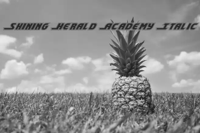 Shining Herald Academy Italic Шрифта examples