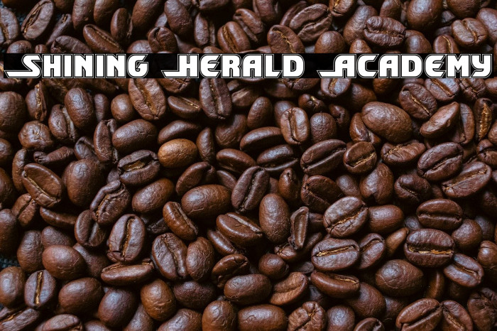 Shining Herald Academy Example 1