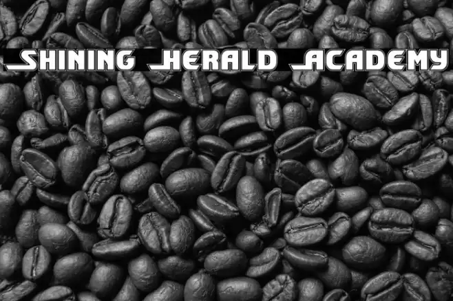 Shining Herald Academy Font examples