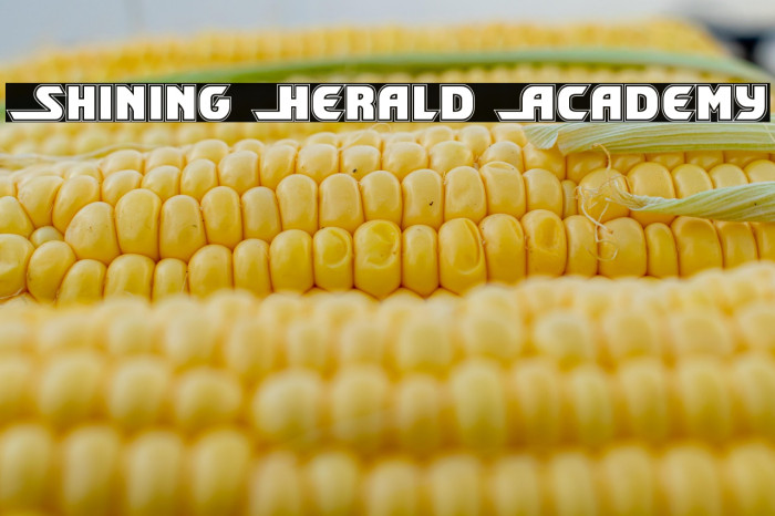 Shining Herald Academy Example 3