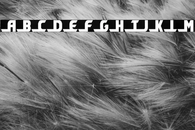 Shining Herald Condensed Font examples