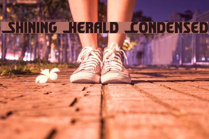 Shining Herald Condensed Шрифта examples