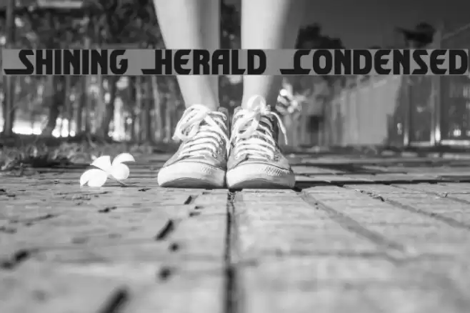 Shining Herald Condensed Font examples