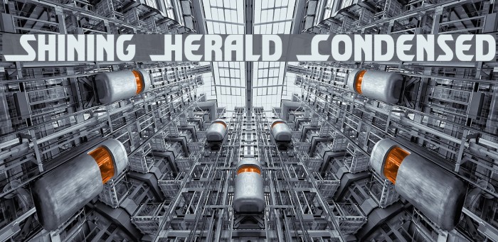 Shining Herald Condensed Шрифта examples
